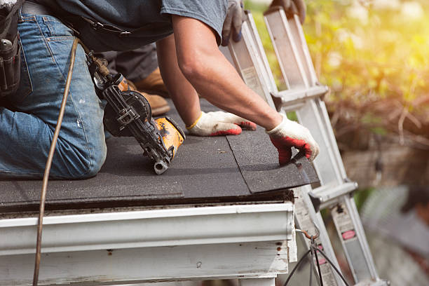 Best Roof Gutter Cleaning  in Buckingham, FL